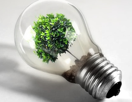 Empresa especializada em projeto sustentável de iluminação registra crescimento