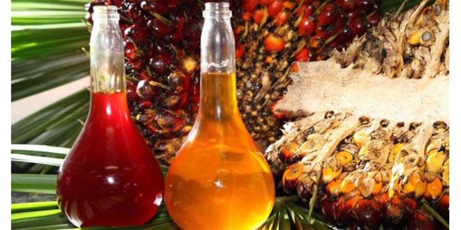 Livre de gorduras trans, óleo de palma traz vantagens e benefícios para a indústria alimentícia