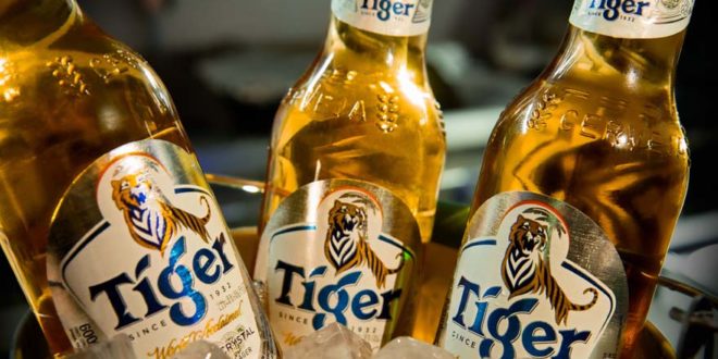 Grupo Heineken lança cerveja puro malte Tiger