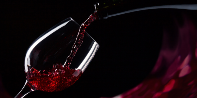 Wine amplia liderança no mercado e registra lucro líquido de R$ 8,8 milhões no segundo trimestre