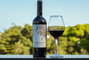 Grupo Wine lança sua primeira linha de vinhos autoral: Metropolitano
