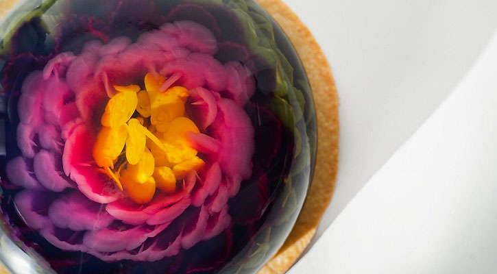 Oterra lança Cake Modern unindo arte, panificação e cores naturais