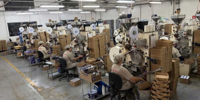 Após crescer mais de 25%, Chás Real prevê faturamento de R$ 67 milhões em 2026